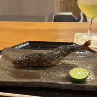 西麻布 大竹 - 