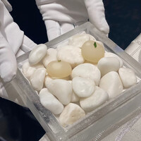 クイントカント - 