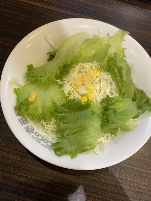 Curry House CoCo Ichibanya Kanayama Eki Minamiguchi Ten photo 2