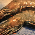 Headed shrimp (2 pieces)