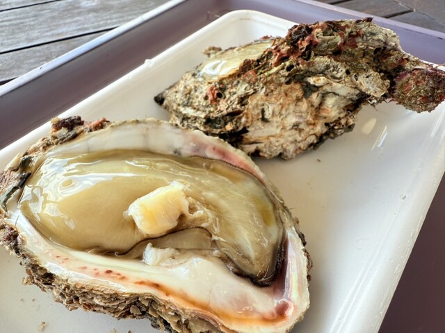 土田水産 - 象潟（その他）の写真