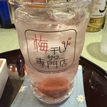 梅干しサワー専門店 - 