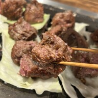 黒毛和牛ヘレ肉専門店 炭火焼肉 りきちゃん 北浜店 - 