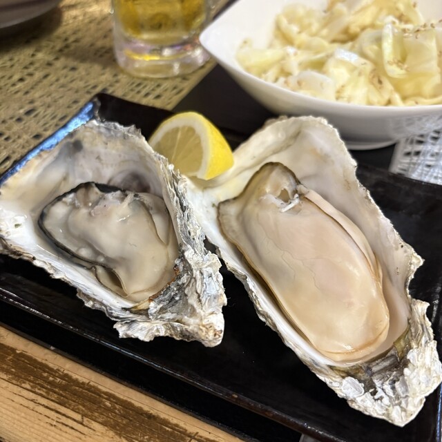 酔いどころ おちょぼ - 釧路（居酒屋）の写真