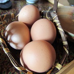 僧伽小野 一秀庵 - 糸島地玉子