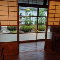 oasi - 