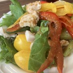 buffet garden veggie+ - 