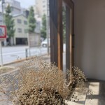 COFFEE STAIN - 店内からの景色。