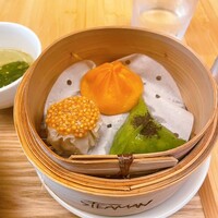 STEAMAN - 