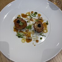 Loiseau de France - 