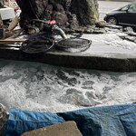 活魚料理 びんび家 - 生簀