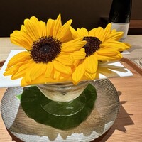 杦 - 