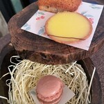 芦屋フレンチ北じま - 