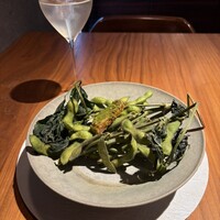 ル スプートニク - 