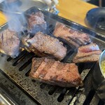 大衆町焼肉・ホルモン たぬき - 