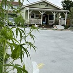 カンタービレの森 - 