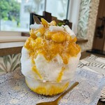 カンタービレの森 - 