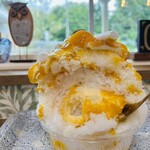 カンタービレの森 - 