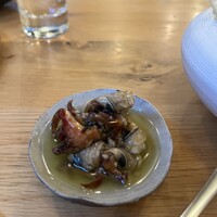 ロテュス - チャンバラ貝