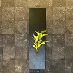 313116684 - 