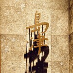 313116681 - 