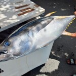 座間味村漁協直売店 - 