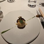 レフェルヴェソンス - 