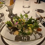 レフェルヴェソンス - 