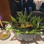 レフェルヴェソンス - 