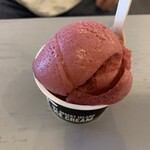 マウント デザート アイランド アイスクリーム - 原さんが注文してたソルベ