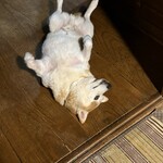 HANASE HIGHLAND INN - 