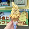 明野サンフラワーフェスティバル
