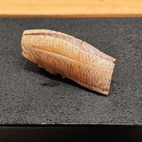 鮨 はやたか - 