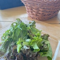PASTA HOUSE AWkitchen FARM 多摩センター店 - 
