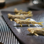 レストラン バカール - 稚鮎