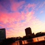 アニヴェルセルカフェ - 