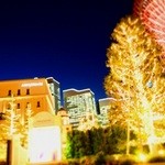 アニヴェルセルカフェ - 