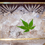 美加登家 - 鮎の背ごし、島根県高津川産の山葵