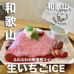 QQQ×UTA - 
