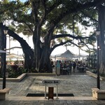 Beachhouse at the Moana - 