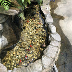 ラーメン 若松 - 