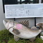 平塚漁港の食堂 - 