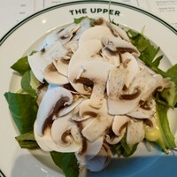 THE UPPER - 