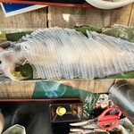 梅乃葉 - 大きな活須佐男命イカ！