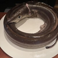 蒼 - 