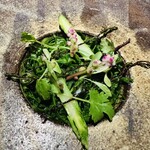 アニエルドール - 