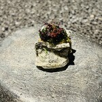 アニエルドール - 