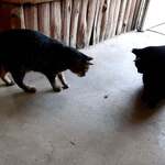 ドライブイン名馬里 - 