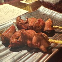 鳥ばか一代 - 