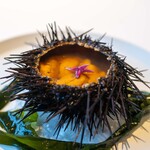 レストラン オオツ - 2025.8 函館産ムラサキウニ コンソメジュレ カリフラワーのムース